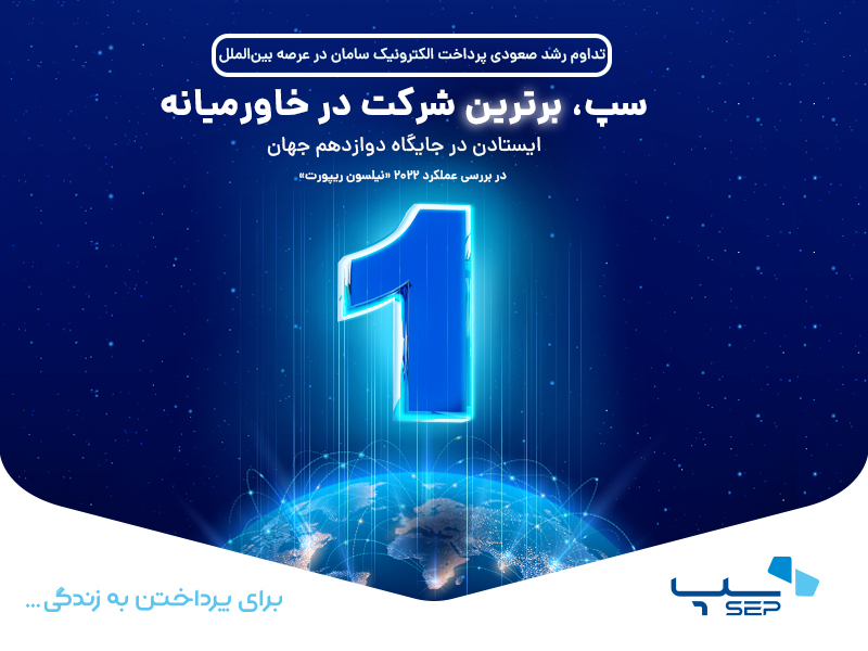 نیلسون ریپورت